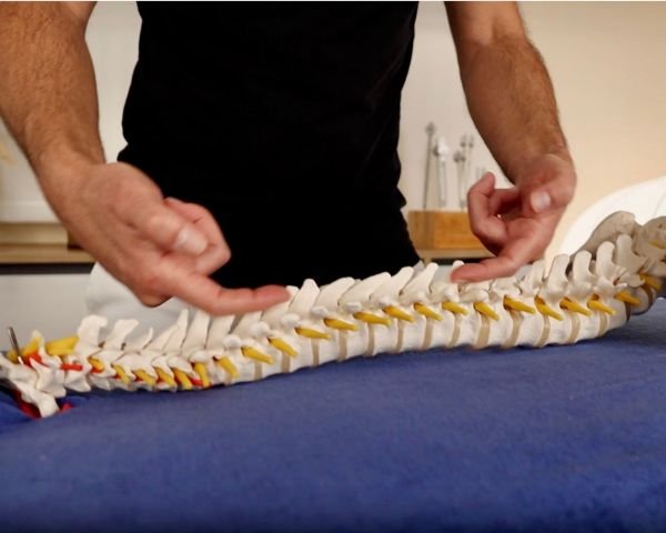 Curso Acunamientos CME online